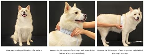 Puppia Dotty Step-in Vest Dog Harness No Pull No Choke Easy Wear Training Walking for Small Dog, Small, Black