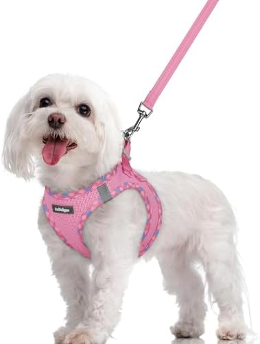 rabbitgoo Dog Harness Medium Sized and Leash Set, Step-in Puppy Pet Vest