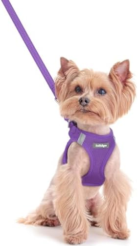 rabbitgoo Dog Harness Small Sized and Leash Set, Step-in Puppy Pet Vest