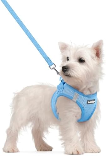 rabbitgoo Dog Harness Small Sized and Leash Set, Step-in Puppy Pet Vest
