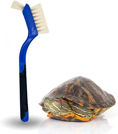 Turtle Cleaning Brush - Gently Remove Dirt from Turtles and Tortoises - Blue by Snout and Shell