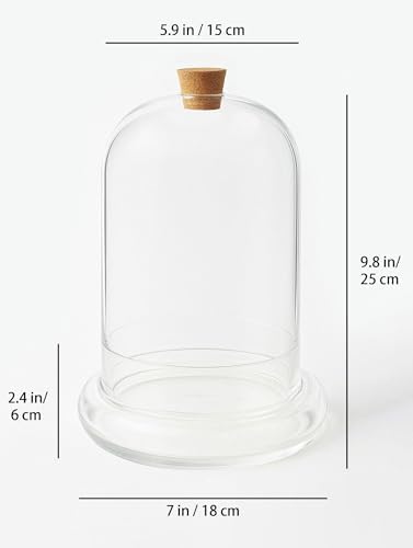 Handblown 10" Glass Terrarium with Opening for Air Flow & Cork Stopper Cloche Style Glass Dome Vivarium Display Case (Large)
