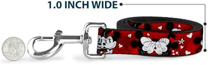 Disney Dog Leash