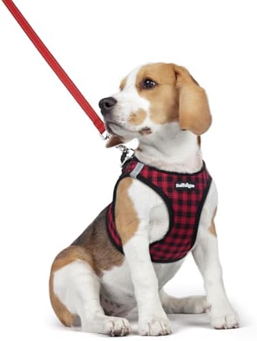 rabbitgoo Dog Harness Medium Sized and Leash Set, Step-in Puppy Pet Vest