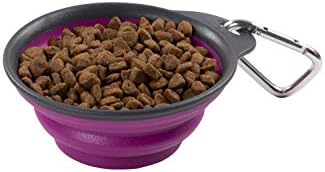 Dexas Pets Collapsible Travel Cup, Small/1 Cup Capacity, Fuchsia