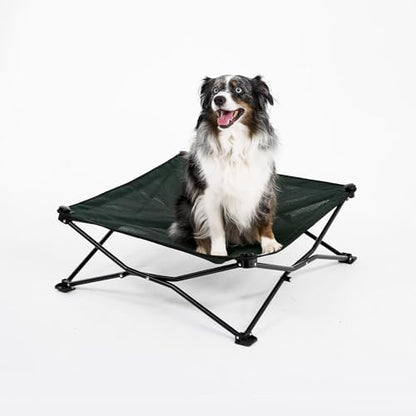 Coolaroo On-The-Go Elevated Dog Bed - Foldable Pop-Up Travel Dog Bed with Breathable, Moisture-Resistant Fabric, Carry Bag Included, Lightweight & Portable, Brunswick Green, Medium