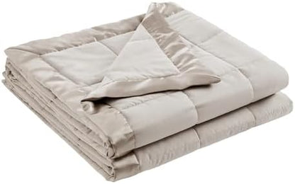 Madison Park Windom Down Alternative Blanket, Premium 3M Scotchgard Moisture Wicking Treatment, Lightweight and Soft Bed Cover For All Season, Satin Trim, Grey Twin