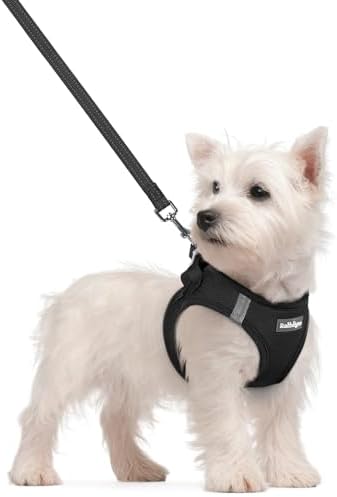 rabbitgoo Dog Harness Small Sized and Leash Set, Step-in Puppy Pet Vest