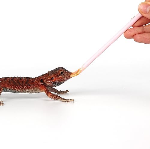 2Pcs Pink Reptile Feeding Spoon, Crested Gecko Food Mixing Spatula