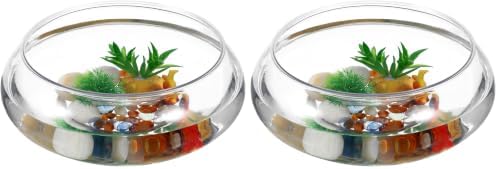 GANAZONO Clear Fish Bowl Vase Bubble Round Planter Terrarium Fish Bowl Aquatic Plant Pot Daffodil Pot Hydroponic Planter Tank Aquarium (Pack of 2)