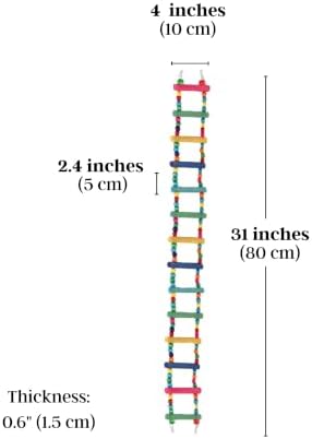 SunGrow Bird Ladder Bridge, 31x4 Inches, Raw Wood and Edible Dye, Suitable for Small to Medium Birds, 1 Piece