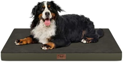 Outdoor Extra Large Dog Bed XXL for Giant Breed Dogs