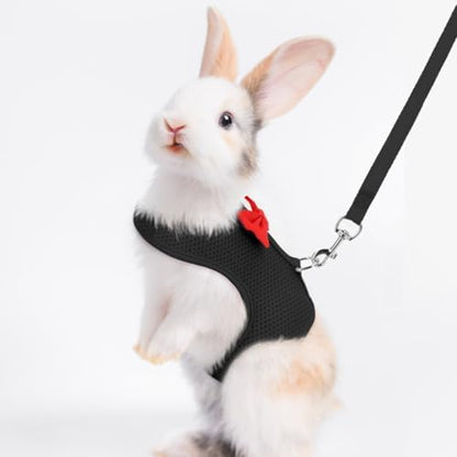 Rabbit Harness and Leash Set for Walking Escape Proof, Black M