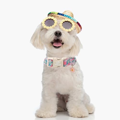 Summer Dog Collar–Spring Summer Floral Dog Collars,Wildflowers Pet Collar with Quick Release,Adjustable for Small/Medium Dogs