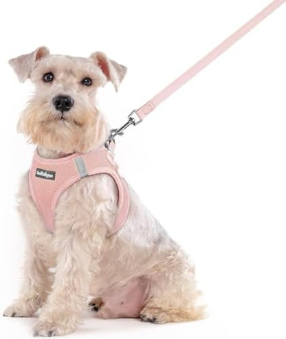 rabbitgoo Dog Harness Medium Sized and Leash Set, Step-in Puppy Pet Vest