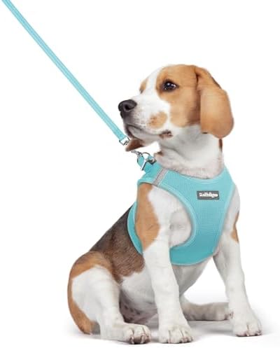 rabbitgoo Dog Harness Medium Sized and Leash Set, Step-in Puppy Pet Vest