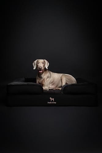 NOAH & PAW XL Dog Bed, 45x35x11 Inch, Orthopedic Large Dog Beds, Eggshell Memory Foam Infused with Cooling Gel, Inner Cover, Water Resistant, Machine Washable (Denim Sofa Collection)