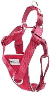 RC Pet Products Tempo No Pull Dog Harness, Large, Heather Azalea, Medium (68804014)