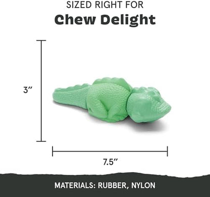 BarkBox Ilana the Iguana Super Chewer - Toy for Medium to Large Dogs