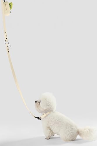 WLK1004L-5SET Luna Small 8FT Adjustable 6-in-1 Waterproof Hands-Free Leash and Collar with LED Flashlight, Bag Dispenser, and Poop Bag Holder, Bailey