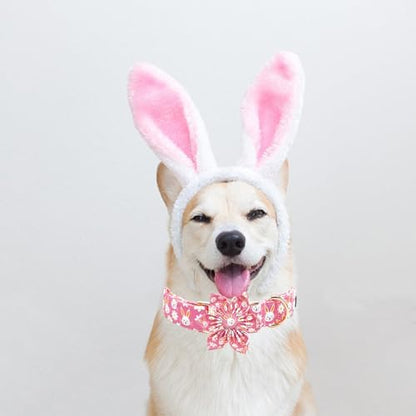Easter Dog Collar-Pink Rabbit Print Adjustable Cute Pet Collar Soft Pink Flower Dog Collars with Flower Holiday Cotton Metal Buckle Puppy Collar Gift for X-Small Dogs