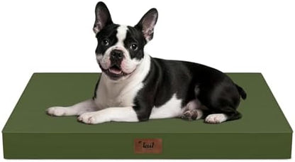 Orthopedic Waterproof Dog Bed for Small Dogs and Cats