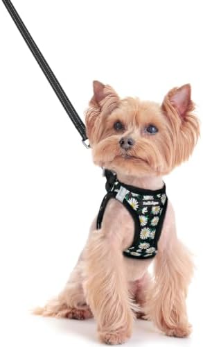 rabbitgoo Dog Harness Small Sized and Leash Set, Step-in Puppy Pet Vest