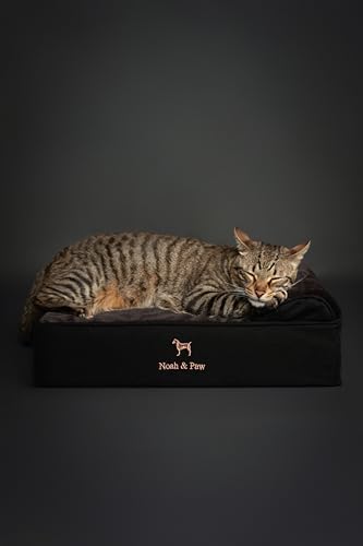 NOAH & PAW Small Dog Bed, 20x15x6.5 Inch, Cat Bed for Indoor Cats, Orthopedic Eggshell Memory Foam Infused with Cooling Gel, Water Resistant, Machine Washable, Includes Inner Cover (Denim Collection)