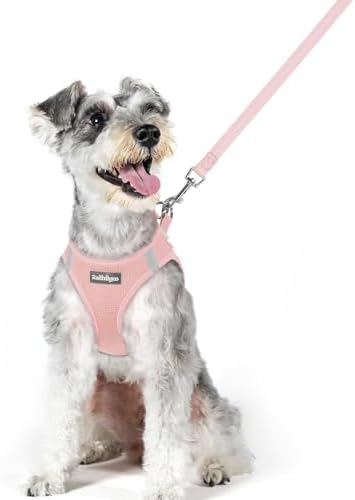 rabbitgoo Dog Harness Medium Sized and Leash Set, Step-in Puppy Pet Vest