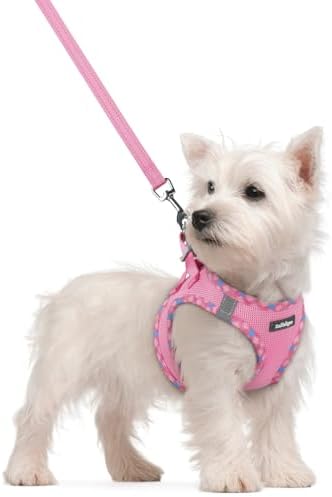 rabbitgoo Dog Harness Small Sized and Leash Set, Step-in Puppy Pet Vest
