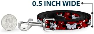 Disney Dog Leash