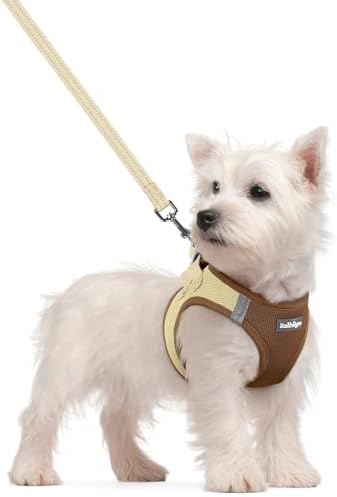 rabbitgoo Dog Harness Small Sized and Leash Set, Step-in Puppy Pet Vest