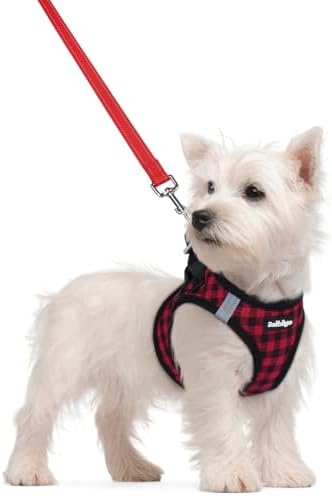 rabbitgoo Dog Harness Small Sized and Leash Set, Step-in Puppy Pet Vest