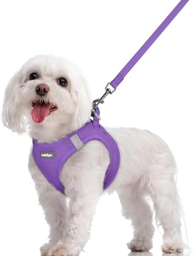 rabbitgoo Dog Harness Medium Sized and Leash Set, Step-in Puppy Pet Vest
