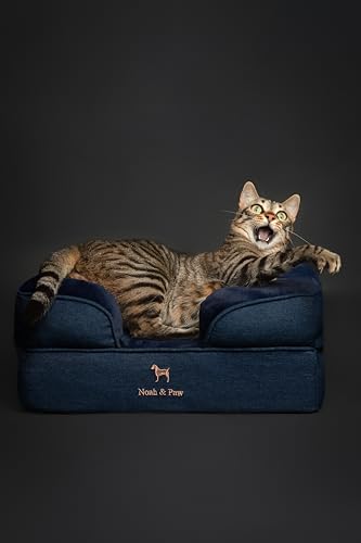 NOAH & PAW Small Dog Bed, 20x15x8 Inch, Cat Bed for Indoor Cats, Orthopedic Eggshell Memory Foam Infused with Cooling Gel, Water Resistant Inner Cover Machine Washable (Denim Collection)