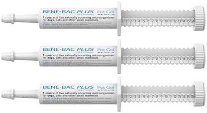 PetAg Bene-Bac Plus Pet Gel - 15 g Syringe, Pack of 3 - FOS & Probiotics for Dogs, Cats, Exotic & Wildlife Mammals