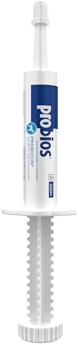 Probios Probiocin Oral Gel for Dogs & Cats, 15 g Tube