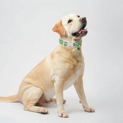 Lionet Paws St. Patrick Dog Collar- Cute Clover Bone Green Dog Collars with Plastic Buckle, Light Adjustable Dog Collars with Clover Pendant for Small Dogs