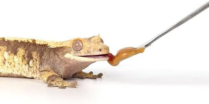2Pcs Crested Gecko Feeding Spoon, Reptile Powder Food Mixing Spoon