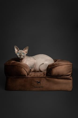 NOAH & PAW Small Dog Bed, 20x15x8 Inch, Cat Bed for Indoor Cats, Orthopedic Eggshell Memory Foam Infused with Cooling Gel, Water Resistant Inner Cover Machine Washable (Velvet Collection)