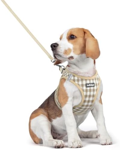 rabbitgoo Dog Harness Medium Sized and Leash Set, Step-in Puppy Pet Vest