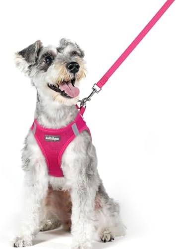 rabbitgoo Dog Harness Medium Sized and Leash Set, Step-in Puppy Pet Vest