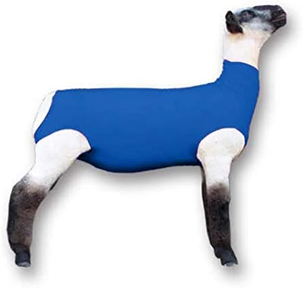 Show Pro Blue Spandex Lamb Tube for Show Sheep & Lamb - Show Livestock Supplies: Sheep Covers & Blankets