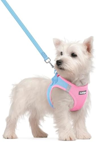 rabbitgoo Dog Harness Small Sized and Leash Set, Step-in Puppy Pet Vest
