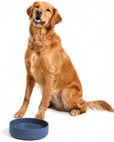 The Perfect Dish - Silicone Dog Bowl for Food & Water, 9.5"x2.5"-Ocean Blue