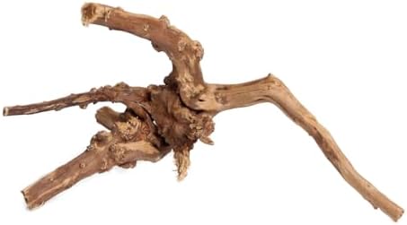 emours Driftwood Branches Reptiles Aquarium Decoration Assorted Size,(5.5-8 inch in Length),4 Pieces (Spider Wood)