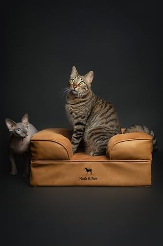 NOAH & PAW Small Dog Bed, 20x15x8 Inch, Cat Bed for Indoor Cats, Orthopedic Eggshell Memory Foam Infused with Cooling Gel, Water Resistant Inner Cover Machine Washable (Faux Leather)