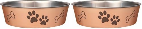 Loving Pets Bella Dog Bowls- Stainless Steel Dog & Cat Bowls - Spill Proof Dog Food Bowl, Cat Bowl, Puppy Essentials & Pet Supplies Great for Home & Travel (Medium 20-35 lbs, Champagne) (Pack of 2)