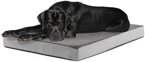 BarkBox Orthopedic Dog Bed - XXL