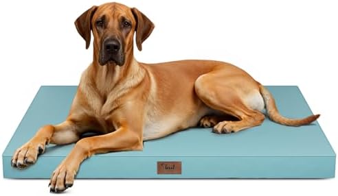 Jumbo Waterproof Orthopedic Dog Bed for Extra Large Dogs